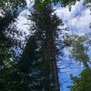 Meet your Posher, Maureen